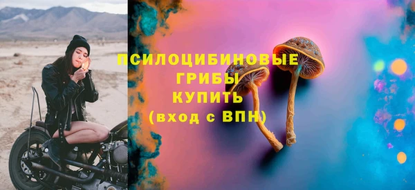 a pvp Новозыбков