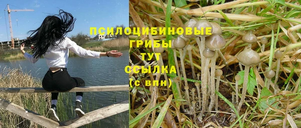 a pvp Новозыбков