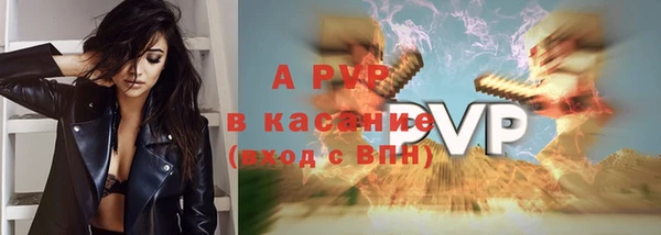 a pvp Новозыбков