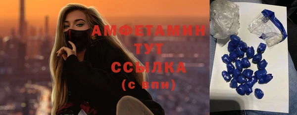 a pvp Новозыбков