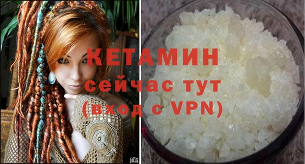 a pvp Новозыбков