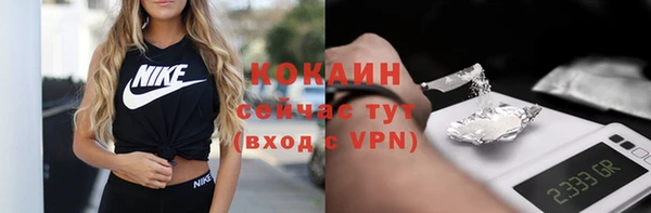 a pvp Новозыбков