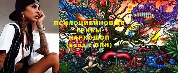 a pvp Новозыбков