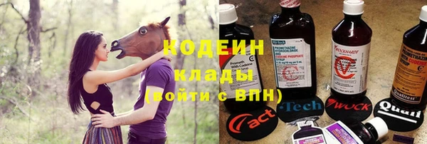 a pvp Новозыбков