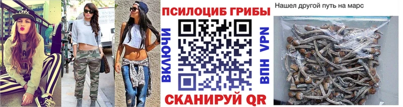 Псилоцибиновые грибы Psilocybine cubensis ОМГ ОМГ как зайти Алзамай купить наркоту